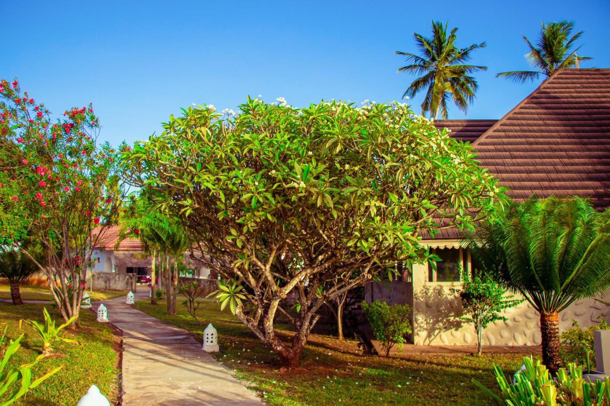 Mandarin Resort Zanzibar Kizimkazi Exterior foto